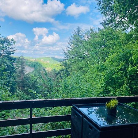 Woody Lodge - Duplex Nature Bonsoy Ardennes Hastiere-par-dela 외부 사진