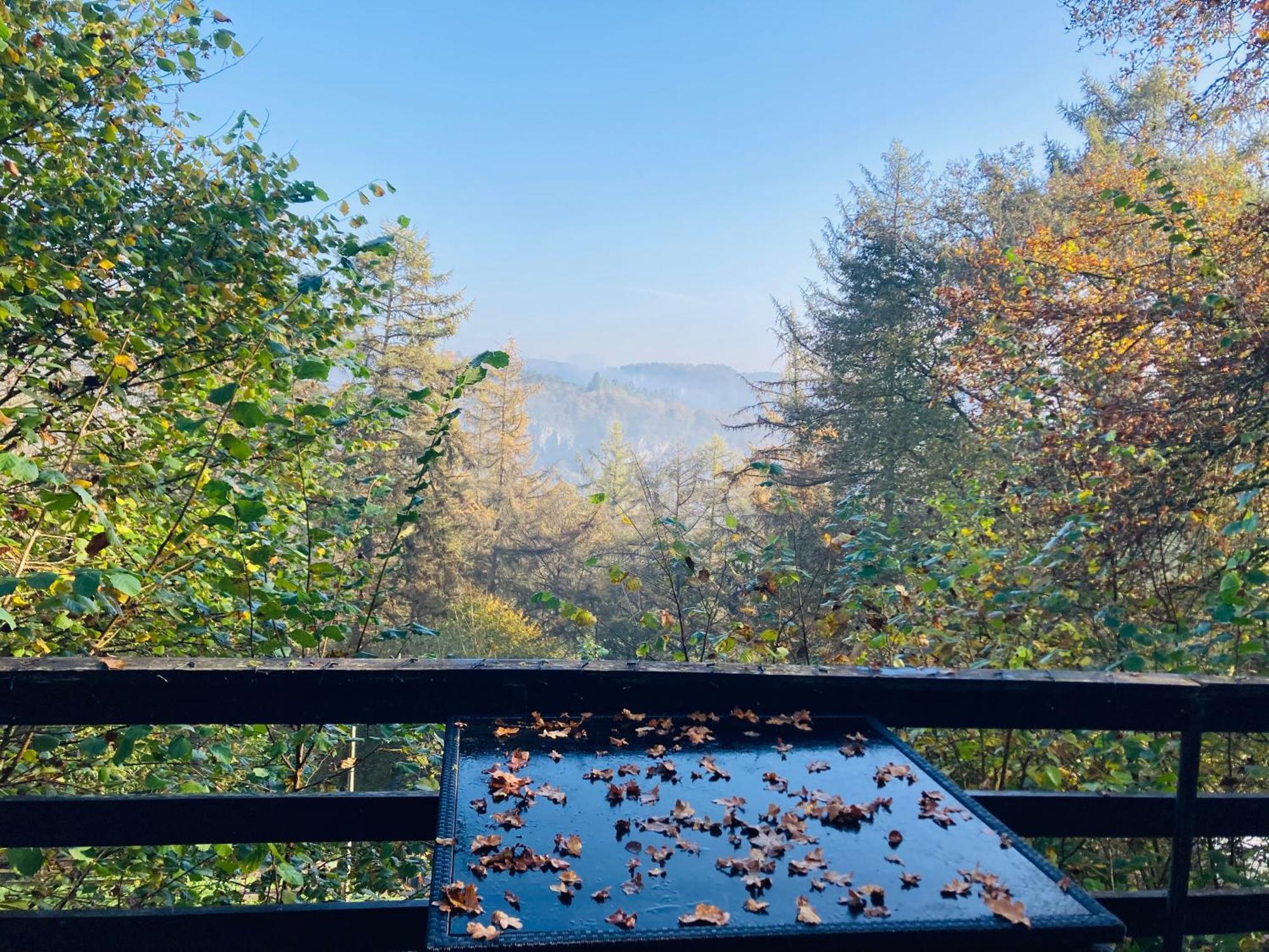 Woody Lodge - Duplex Nature Bonsoy Ardennes Hastiere-par-dela 외부 사진