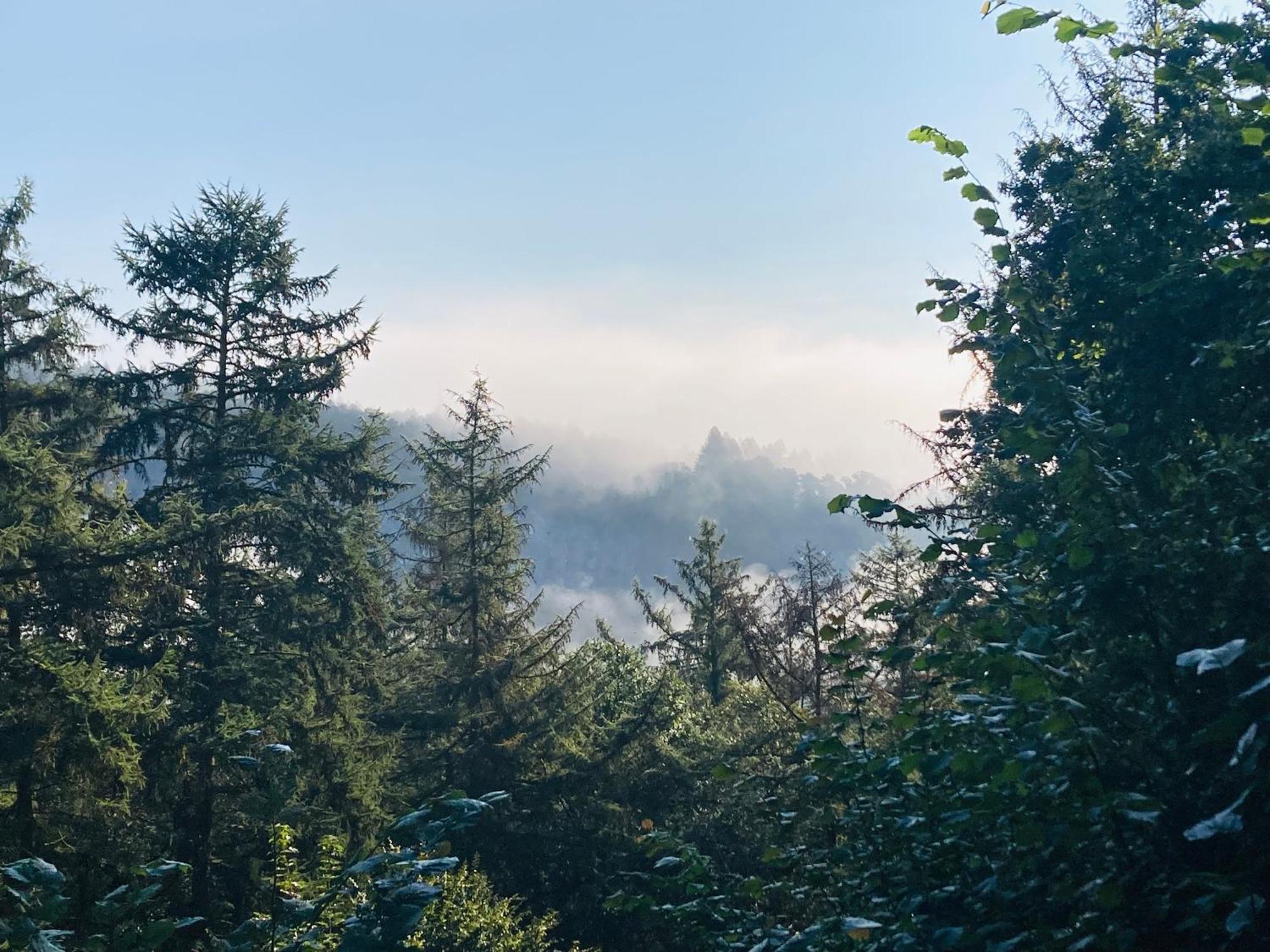 Woody Lodge - Duplex Nature Bonsoy Ardennes Hastiere-par-dela 외부 사진