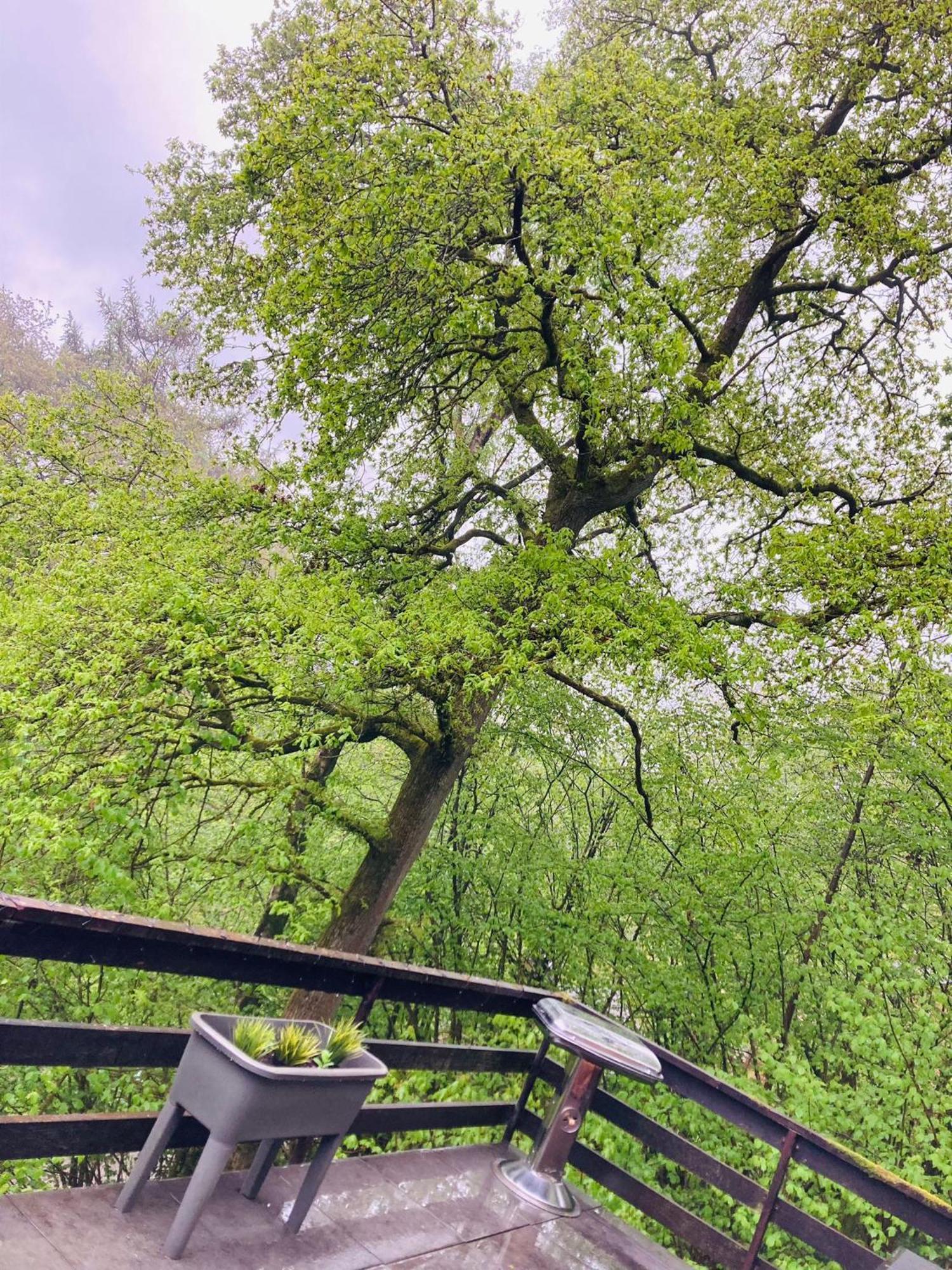 Woody Lodge - Duplex Nature Bonsoy Ardennes Hastiere-par-dela 외부 사진