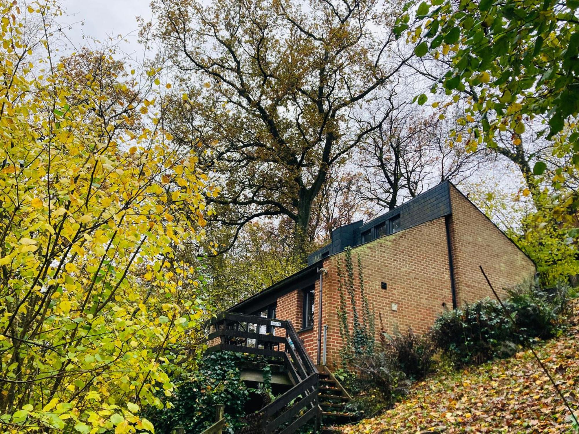 Woody Lodge - Duplex Nature Bonsoy Ardennes Hastiere-par-dela 외부 사진