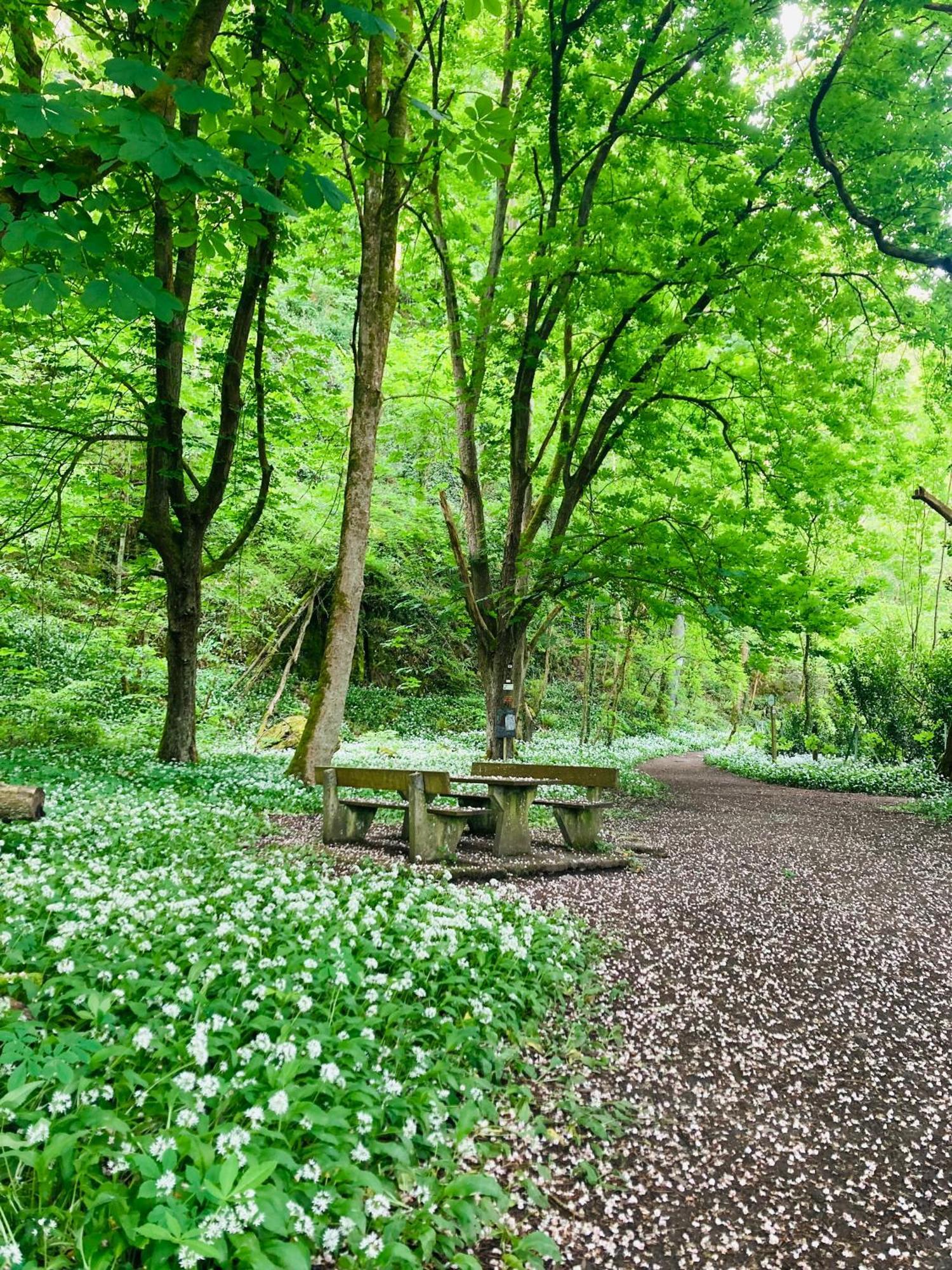Woody Lodge - Duplex Nature Bonsoy Ardennes Hastiere-par-dela 외부 사진