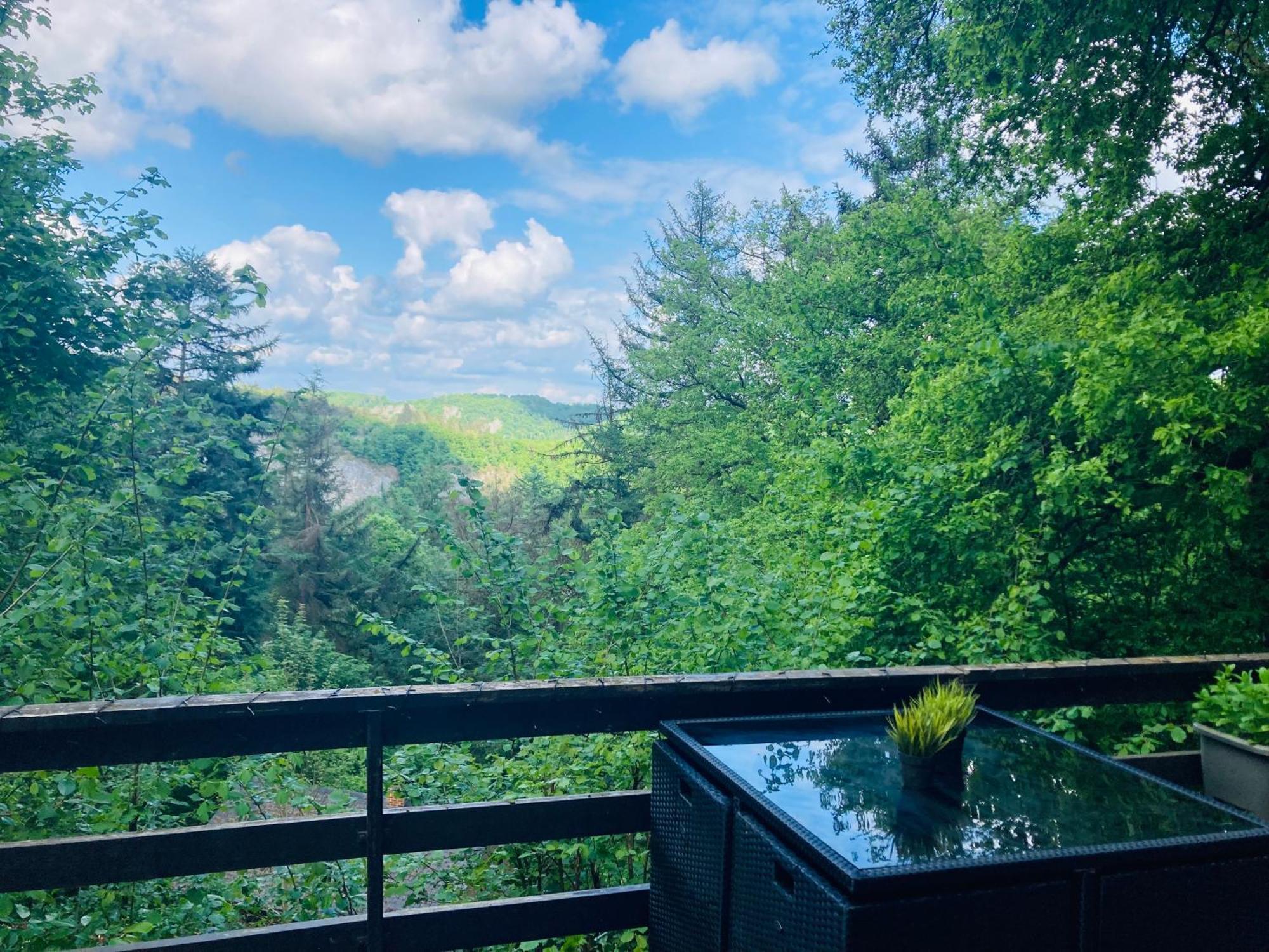 Woody Lodge - Duplex Nature Bonsoy Ardennes Hastiere-par-dela 외부 사진